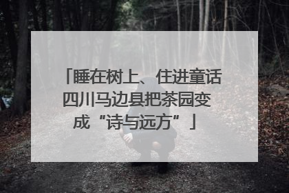睡在树上、住进童话 四川马边县把茶园变成“诗与远方”